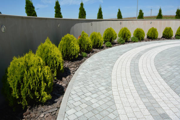 Best Brick Driveway Pavers  in Arlington Heights, IL